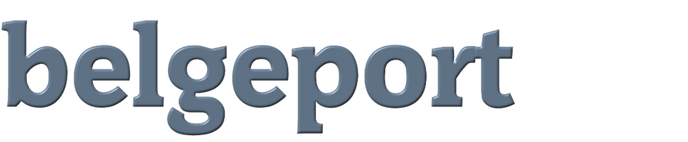 belgeport-logo-png-logo-belgeport-svg.png