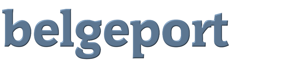 belgeport-logo-png-logo-belgeport-svg_1.png